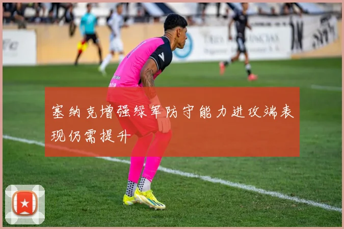 塞纳克增强绿军防守能力进攻端表现仍需提升